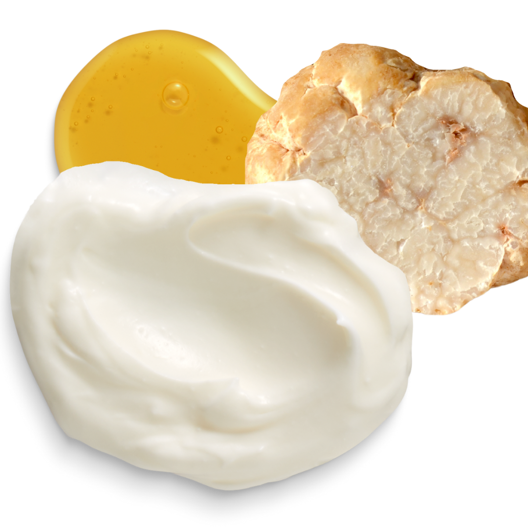 White Truffle - Anti-Aging Cream to Reduce Fine Lines and Wrinkles - Fragrance Free