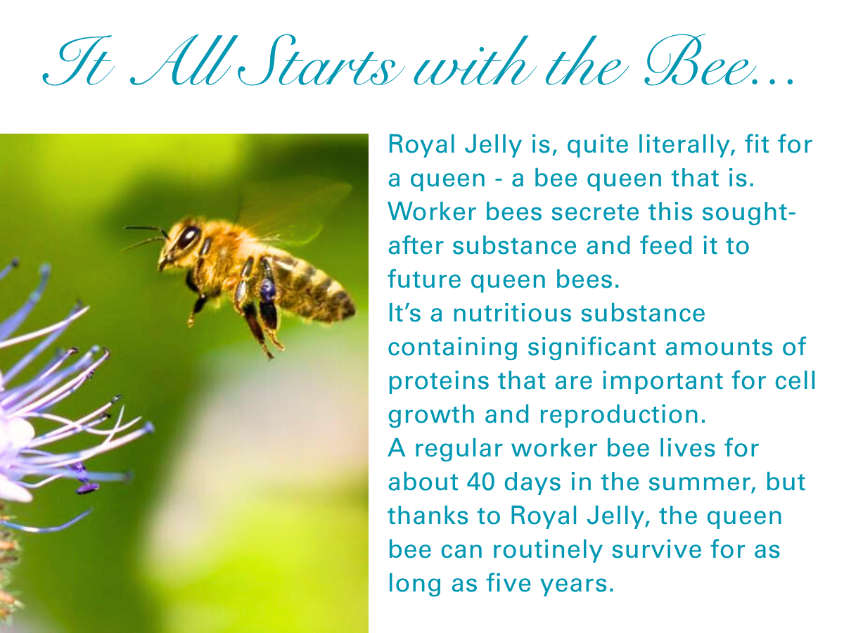 Royal Jelly - All Natural High Performance Anti-Aging Face Moisturizer