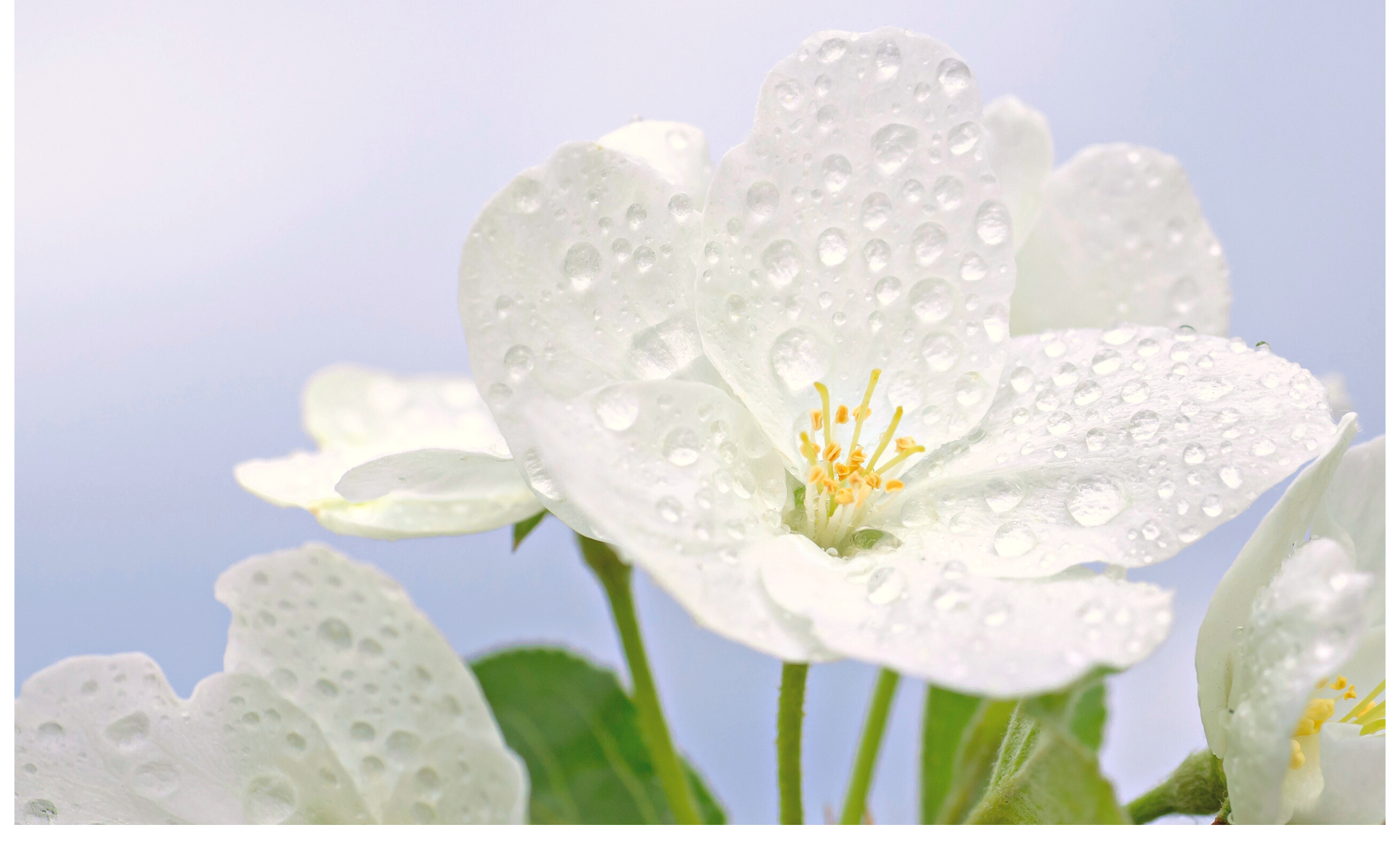 best all natural skincare 